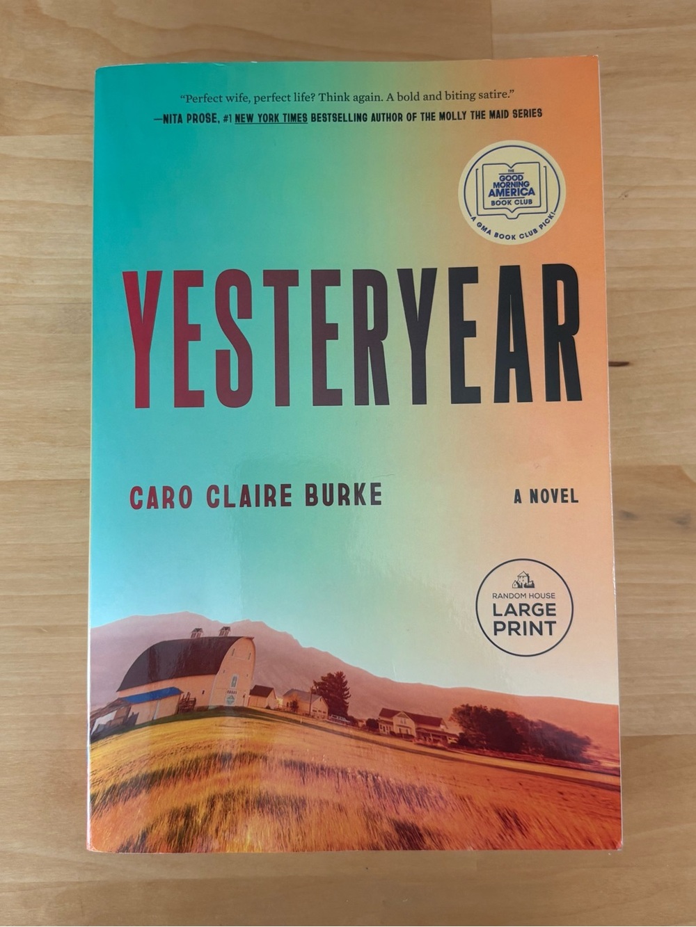 Yesteryear by Caro Claire Burke LARGE PRINT paperback book club book 2026 ed